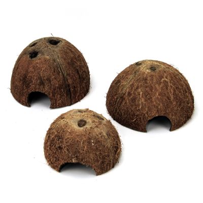 Half coconut