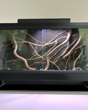 Mini Ecosystem Mossarium