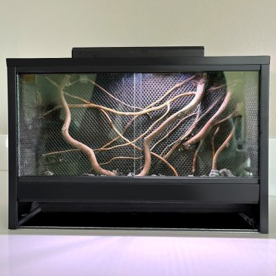 Mini Ecosystem Mossarium