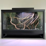 mossarium 1