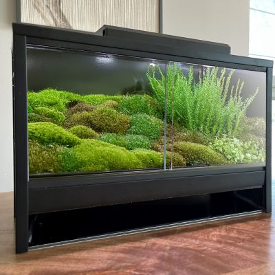 Mini Ecosystem Mossarium