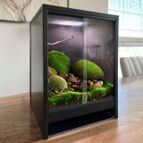 rainforest 2