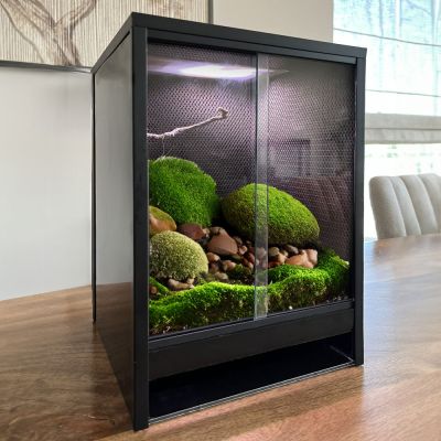 Mini Ecosystem Rainforest