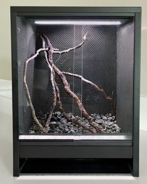 Mini Ecosystem Rainforest