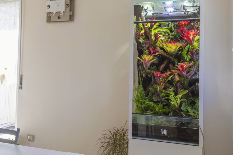 groot terrarium in de woonkamer 