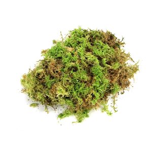 Sphagnum moss