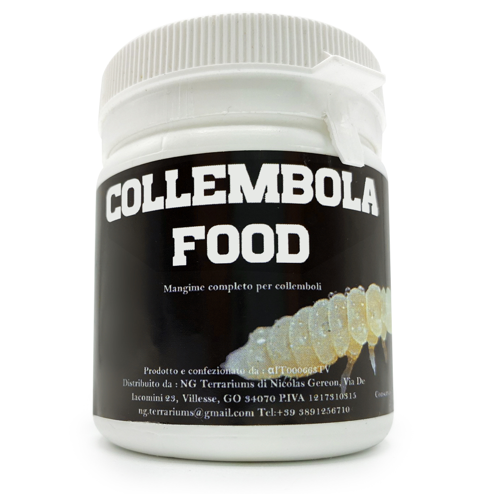 collembola food