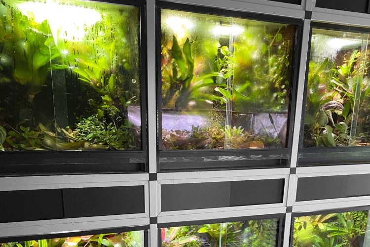 terrarium stelling kopen
