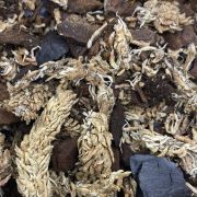 Terrarium Substrate