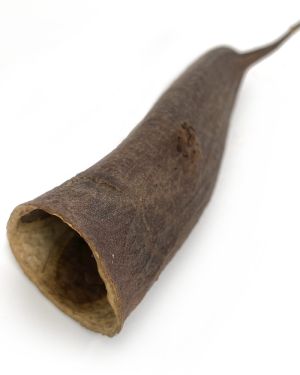Trumpet note