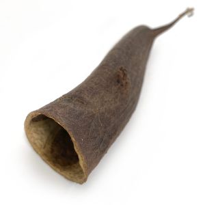 Trumpet note