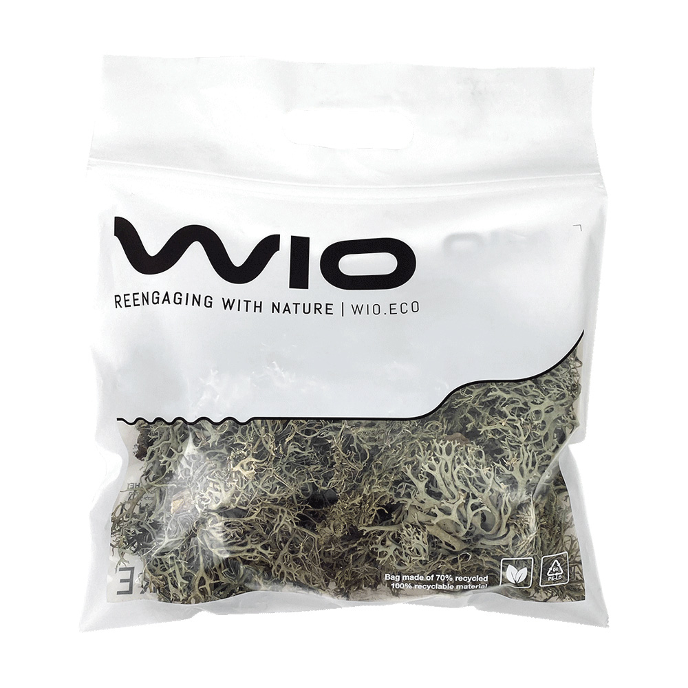 WIO Bits Lichen